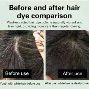 Japanese Long Lasting Natural Hair Dye Shampoo