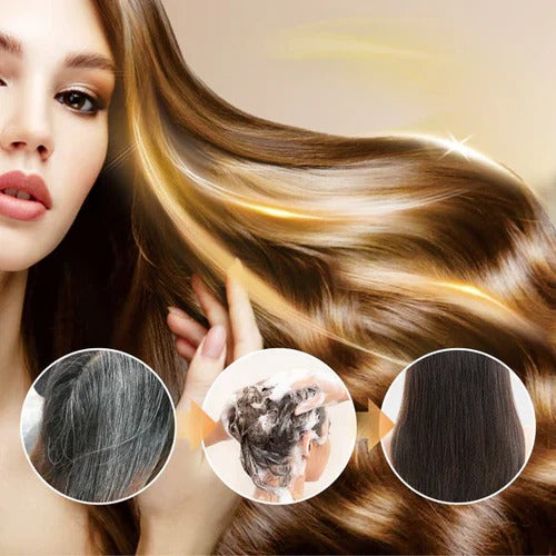 Japanese Long Lasting Natural Hair Dye Shampoo